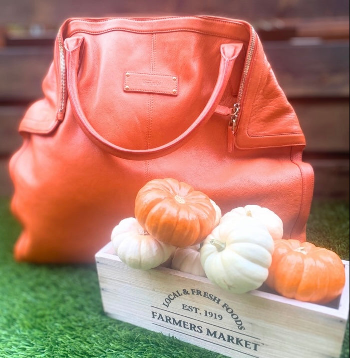 Alexander McQueen Travel Garment Bag 66 X 24 X 2” Large