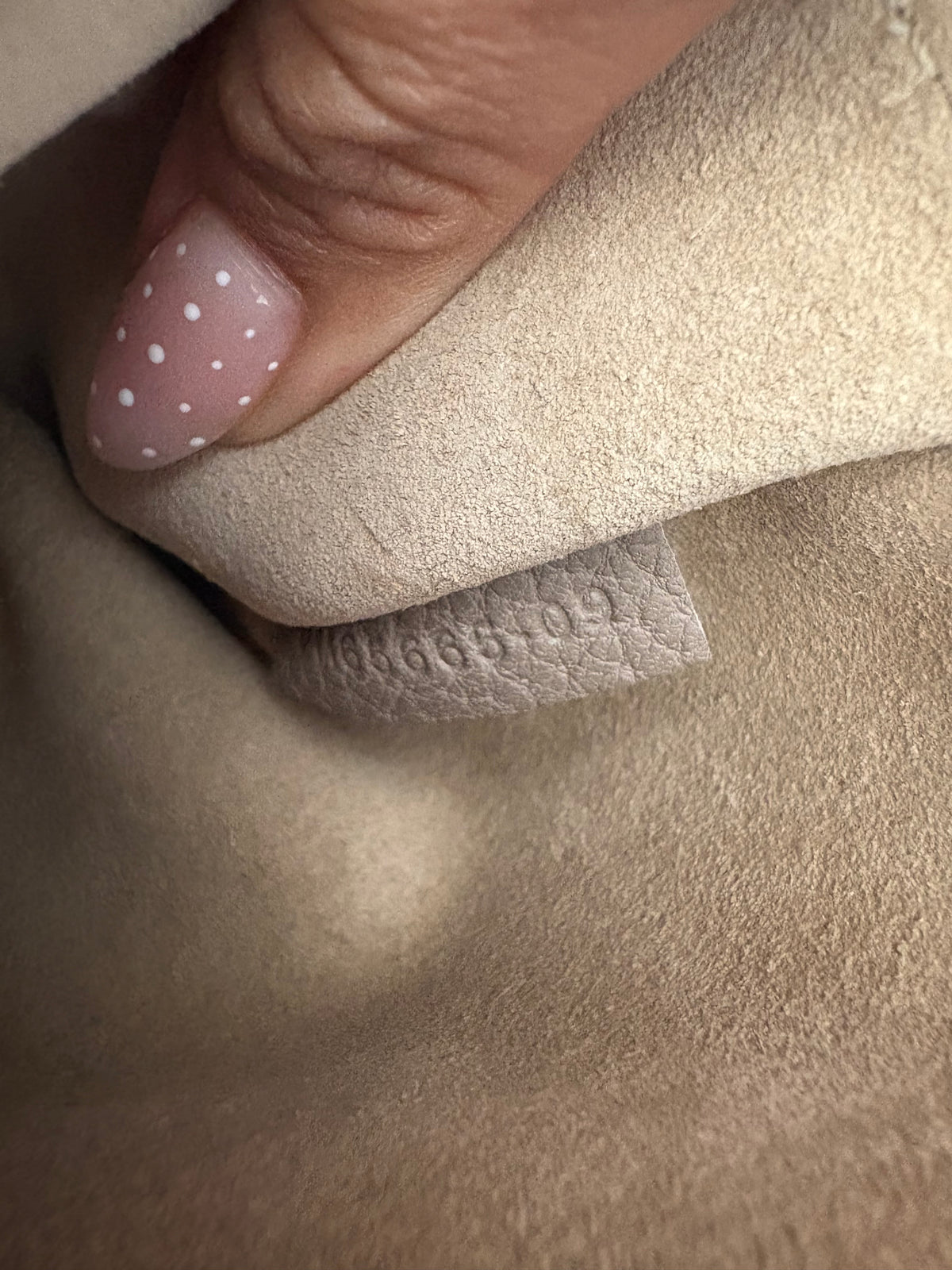 Chloe Drew Bag