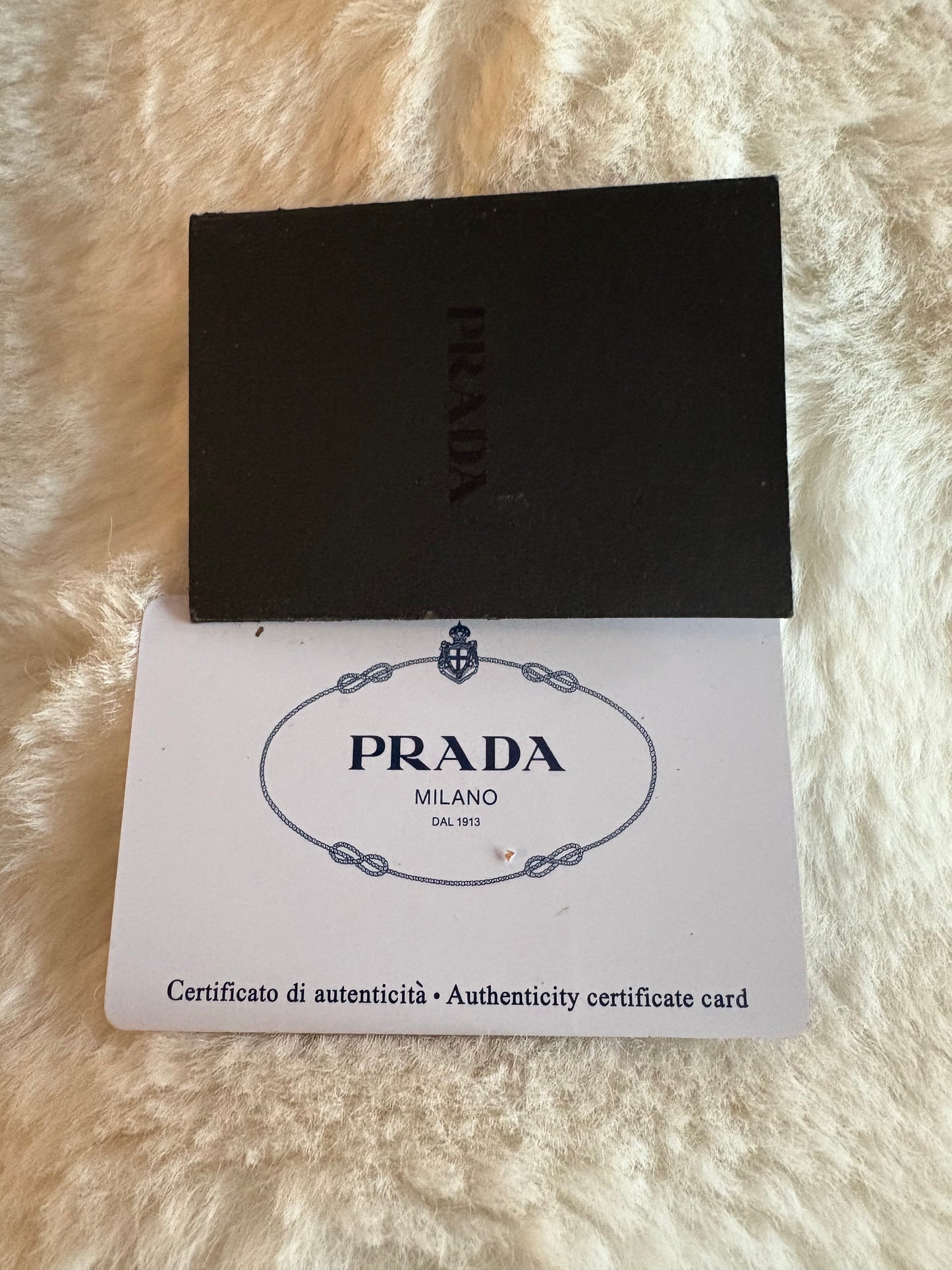 Prada Tote Bag